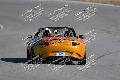 media/Nov-19-2023-Extreme Speed (Sun) [[bd0eec5490]]/Purple/Back Shots/